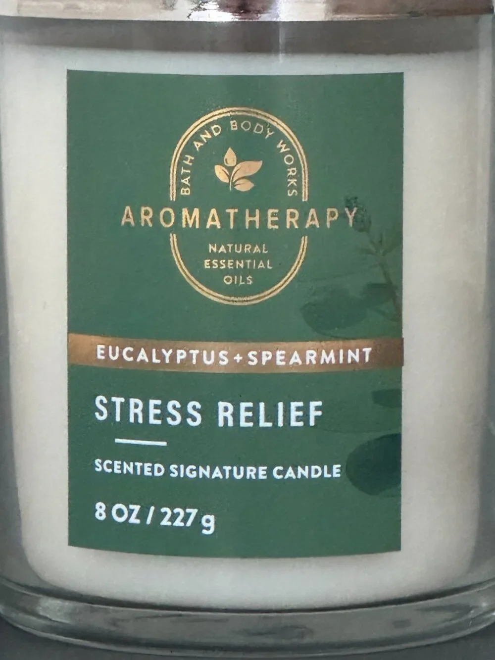 BBW Stress Relief Eucalyptus Spearmint Bath & Body Works Single Wick Candle
